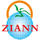 ZIANN